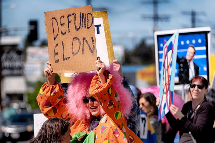 Elon Musk Politics
